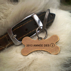 2013annee_des_i