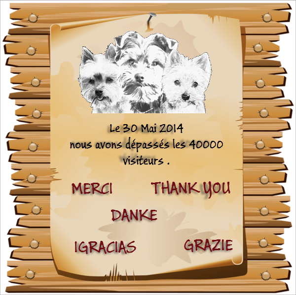 40000-VISITES