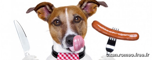 Chien-gourand