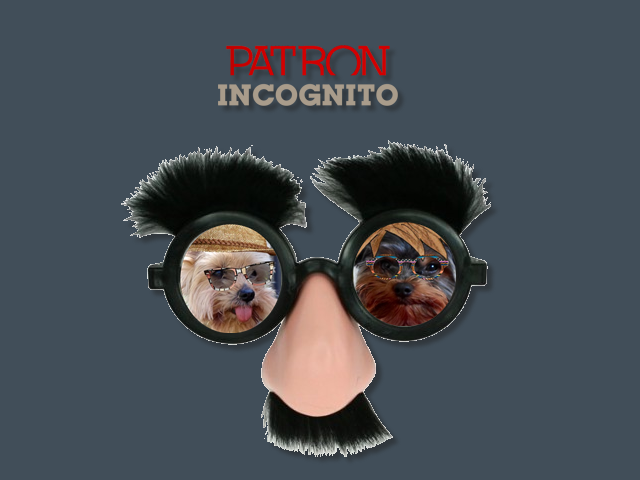 Incognito-2701