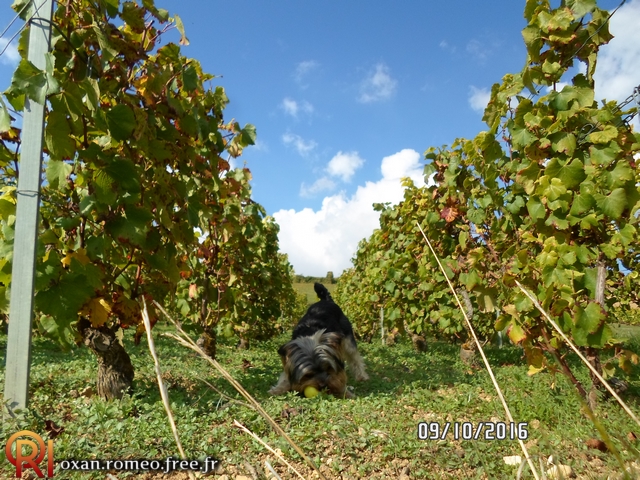 Photo-01613