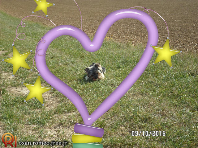 Photo-01615