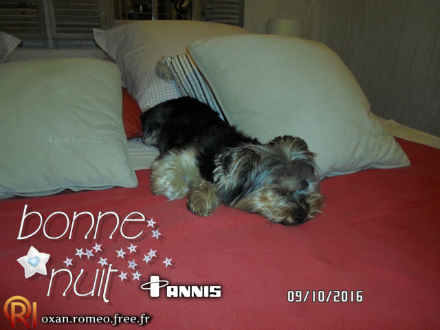 Photo-01618
