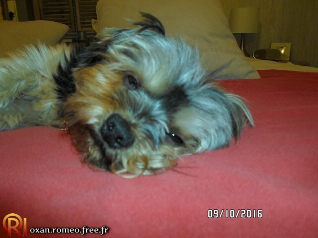 Photo-01619