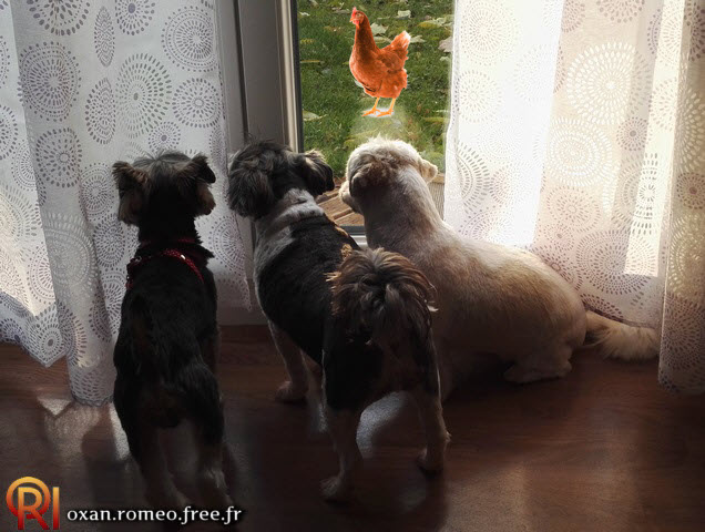 Photo-01654