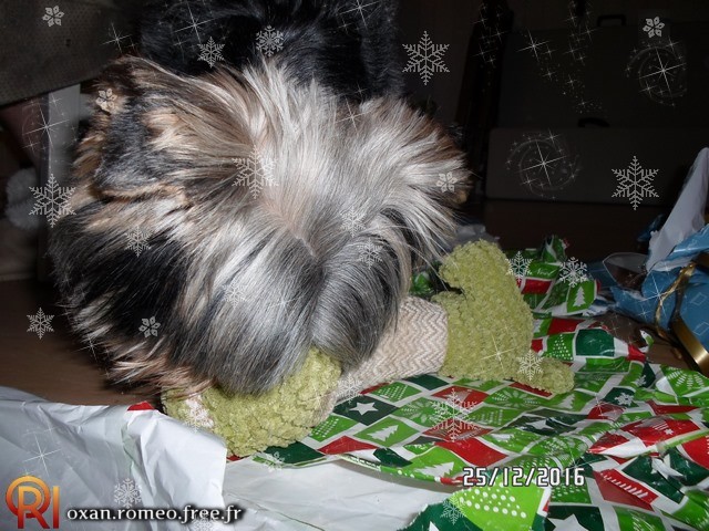 Photo-01676