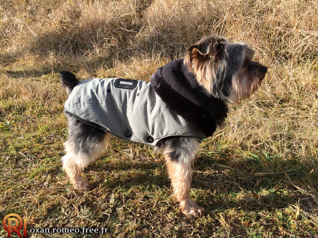 Photo-01720