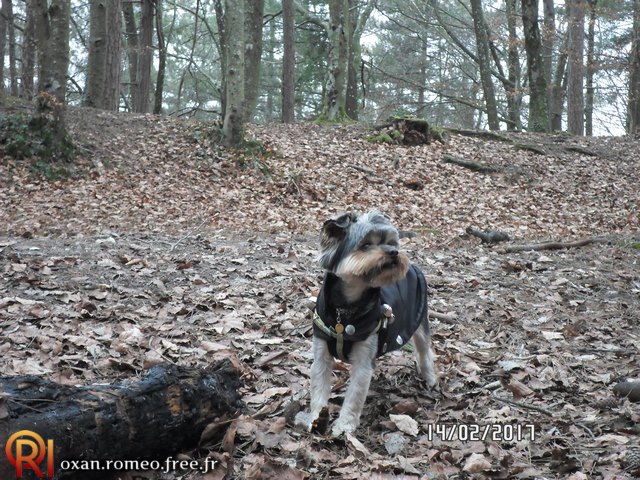 Photo-01763