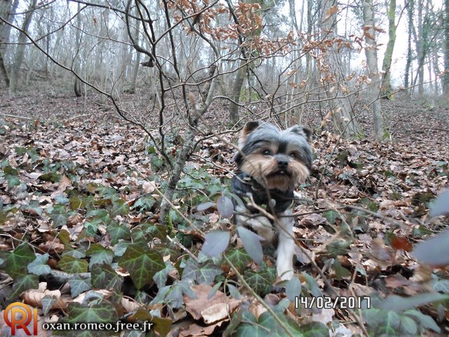 Photo-01766