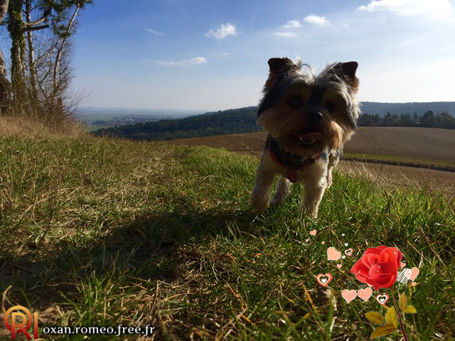 Photo-01775