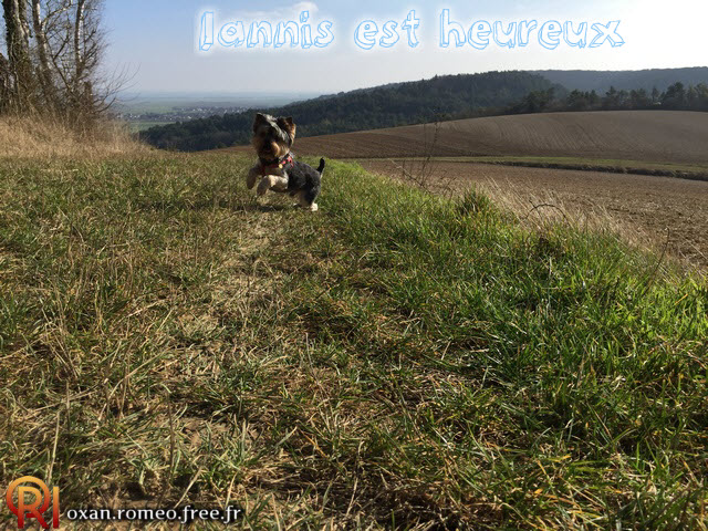 Photo-01776