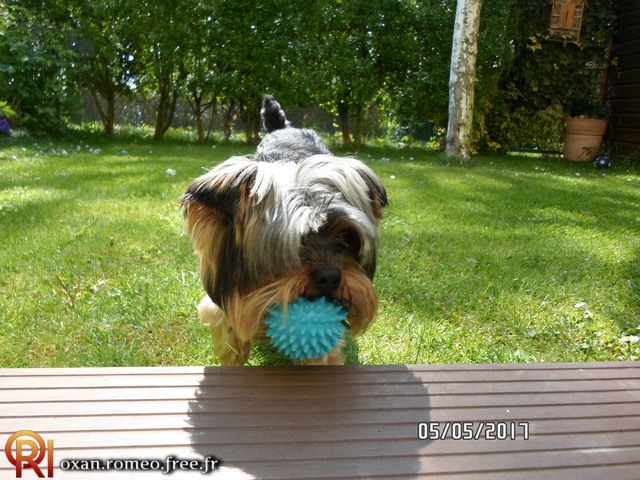 Photo-01843