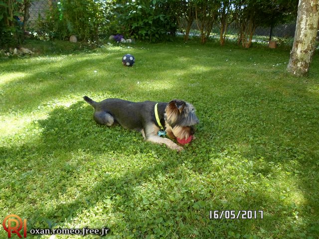 Photo-01867