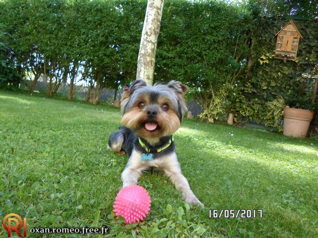Photo-01869