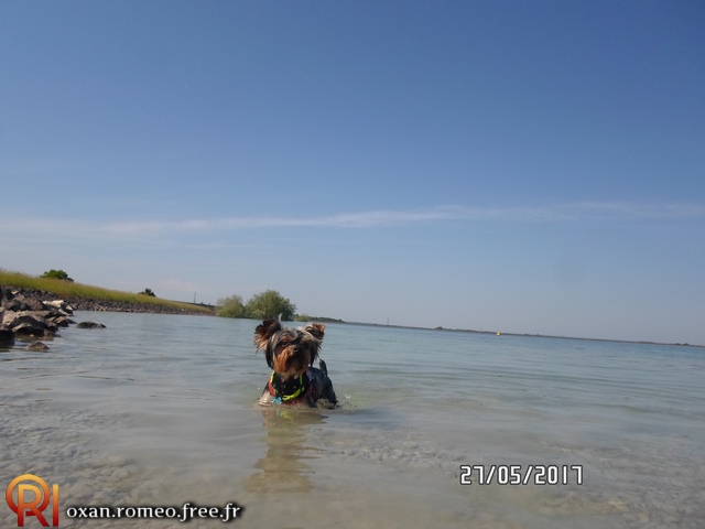 Photo-01885