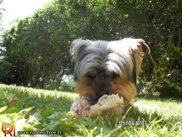 Photo-01896