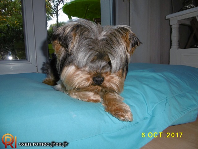 Photo-01988