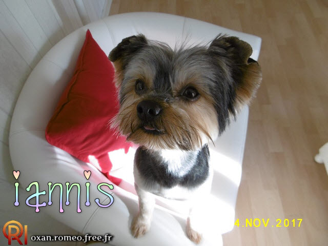 Photo-02001