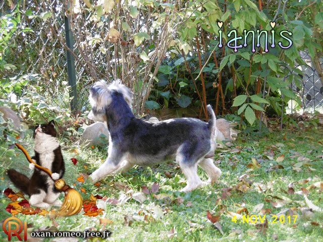 Photo-02005