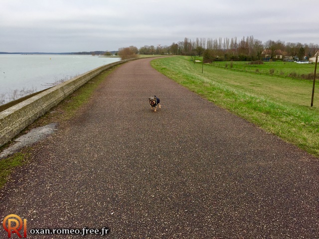 Photo-02030