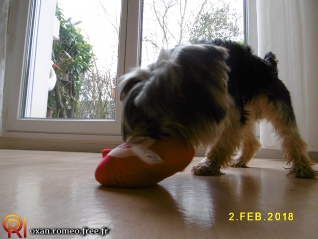 Photo-02036