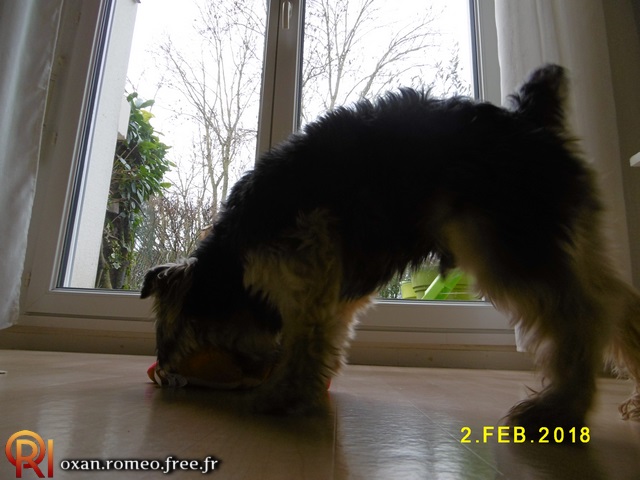 Photo-02038