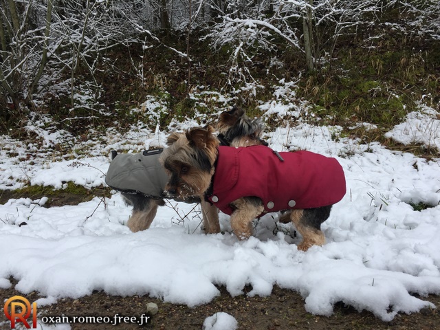 Photo-02046