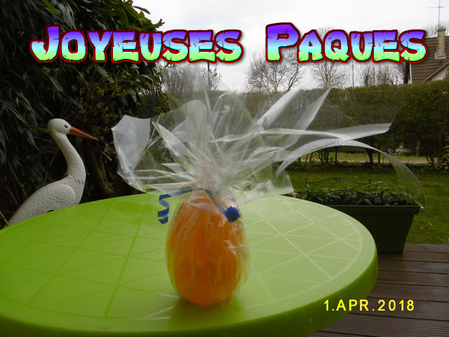 Photo-02084