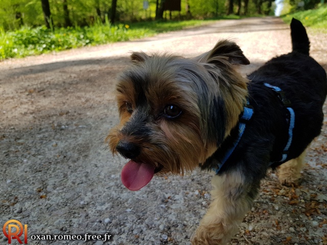 Photo-02099