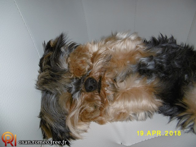 Photo-02104