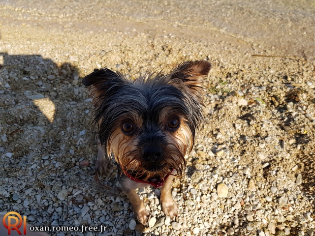 Photo-02115