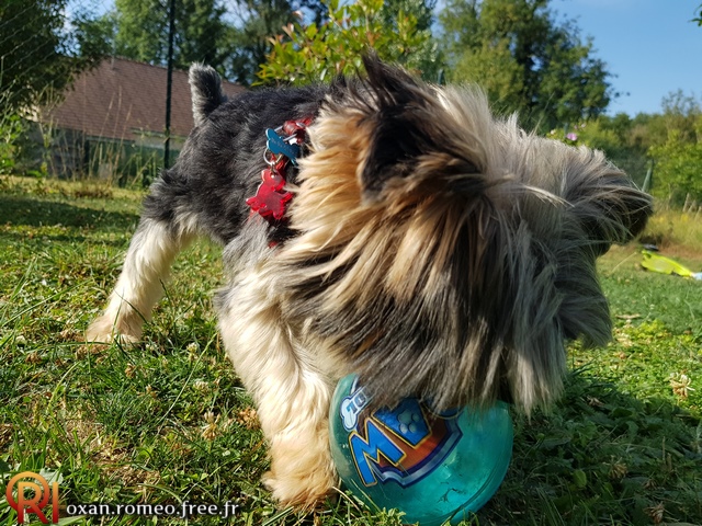 Photo-02129