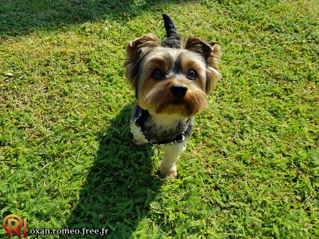 Photo-02134