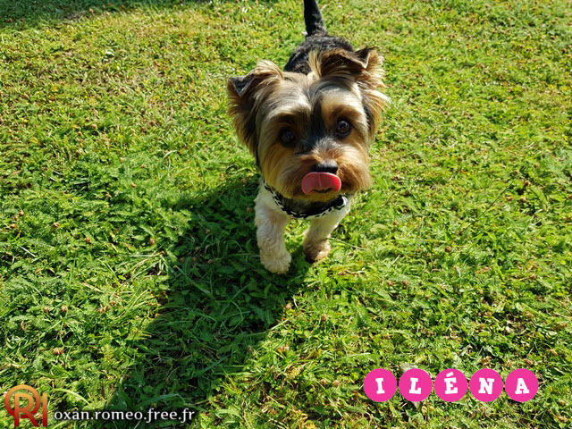 Photo-02135
