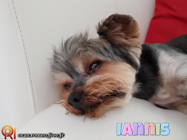 Photo-02136