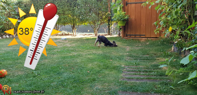 Photo-02140