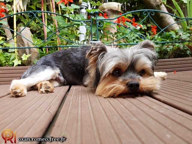 Photo-02151