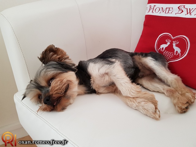 Photo-02153
