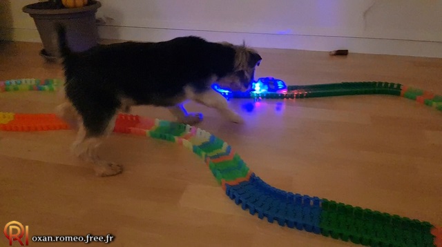 Photo-02171