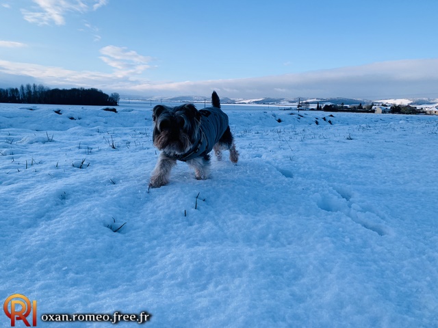 Photo-02187