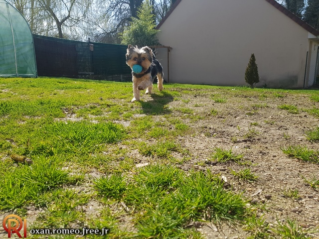 Photo-02192