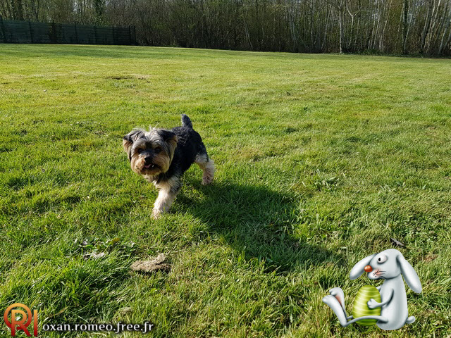 Photo-02209