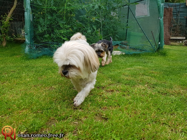 Photo-02234