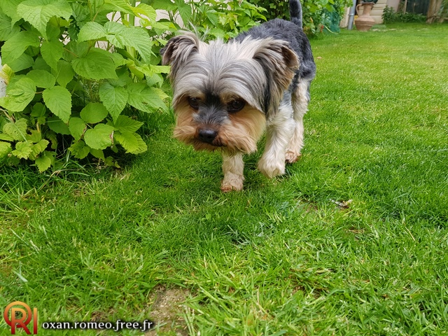 Photo-02235