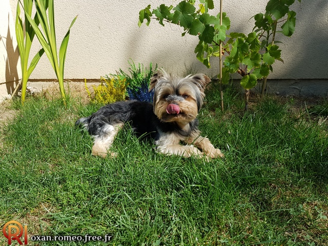 Photo-02283