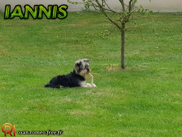 Photo-02363
