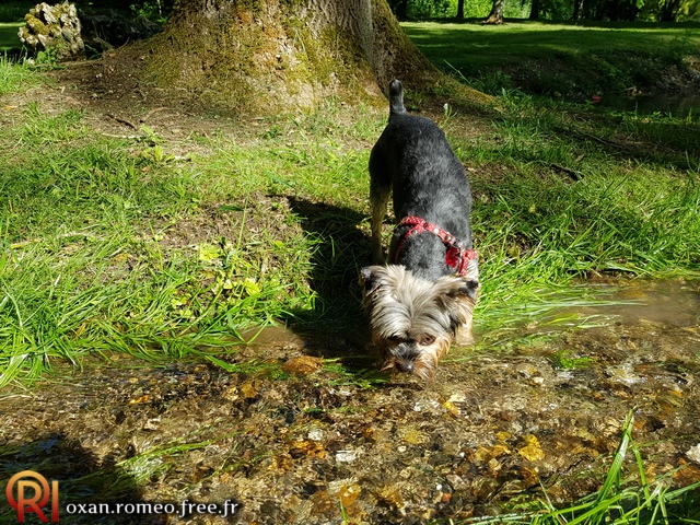 Photo-02371