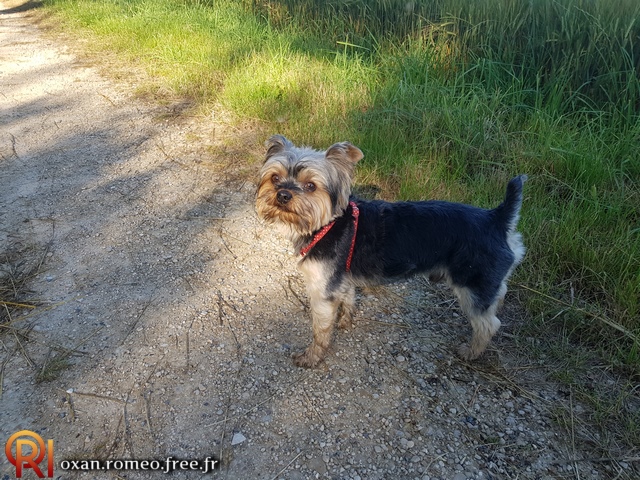 Photo-02383