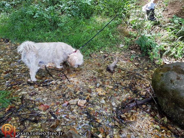 Photo-02388