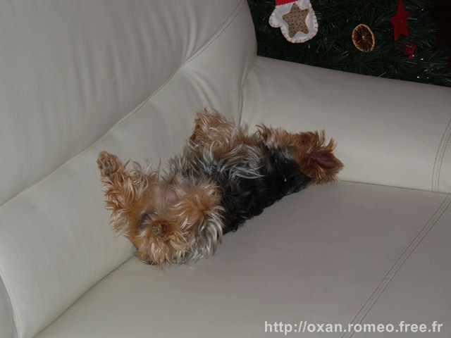 Romeo-033